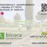 BICOCA