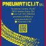 PNEUMATICI.IT
