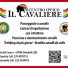 CENTRO IPPICO IL CAVALIERE