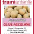 TRAINI ANTONIO