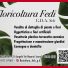 FLORICOLTURA FEDI G.D.A.