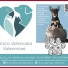 CLINICA VETERINARIA VALMONTONE