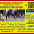 NEW NORDIC WALKING