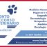 PRONTO SOCCORSO VETERINARIO LAUDENSE
