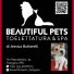 BEAUTIFUL PETS TOELETTATURA & SPA