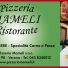 MAMELI