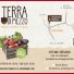 TERRA DI MEZZO