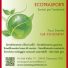 ECOTRASPORTI