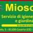 MIOSOTYS