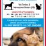 AMBULATORIO VETERINARIO TENCAROLA