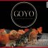 GOYO ASIAN & FUSION