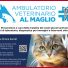 AMBULATORIO VETERINARIO AL MAGLIO