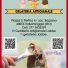GELATERIA ARTIGIANALE LABBE BAZZANO