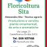 FLORICOLTURA SITA