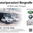 AUTORIPARAZIONI BORGNALLE