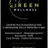 THE GREEN WELLNESS
