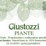 GIUSTOZZI PIANTE