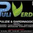 PULI VERDE