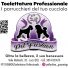 PET FASHION