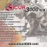 SICUR3000