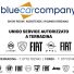 BLUE CAR COMPANY