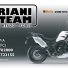 MARIANI TEAM