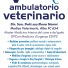 SILVER AMBULATORIO VETERINARIO