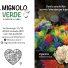 IL MIGNOLO VERDE