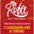 RUFEE PET FRIENDLY